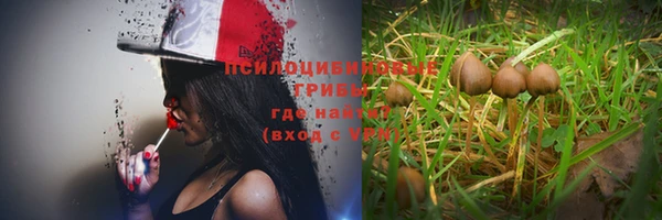 каннабис Алексеевка